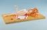 Category.complete-models Asuna: Vacation Mood Ver. изображение 2