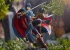 Category.complete-models Marth изображение 5
