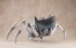 Фигурка Watashi Arachne/Shiraori изображение 9