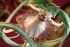 Category.complete-models Hatsune Miku Symphony: 5th Anniversary Ver. изображение 1