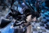 Фигурка Black Rock Shooter: HxxG Edition. изображение 1