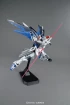 1/100 MG FREEDOM GUNDAM VER.2.0 изображение 1