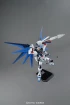 1/100 MG FREEDOM GUNDAM VER.2.0 изображение 4