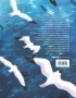 Книга Хейкала: Heikala. Рисуем в стиле аниме и манга издатель АСТ