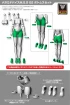 Модель 1/1 Megami Device M.S.G 02 Bottoms Set Skin Color C изображение 1