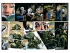 Комикс Болотная Тварь. Книга. 2 источник Swamp Thing