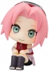 Category.complete-models Look Up! Naruto Shippuden Sakura Haruno изображение 2