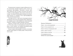 Книга Пока ты видишь меня изображение 1