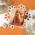 Category.stickers Стикерпак D-PACK SUNNY KITTY изображение 1