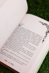 Category.novels Как переманить мужа на свою сторону. Книга 2 изображение 4