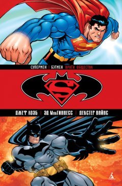 Супермен / Бэтмен. Книга 1. Враги общества. комикс