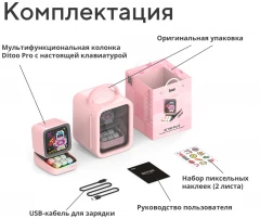 Category.accessories Портативная колонка Divoom Ditoo Pro (розовый) изображение 9