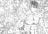 Манга Берсерк. Том 17. источник Berserk