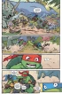 Комикс Черепашки во времени. источник Teenage Mutant Ninja Turtles