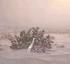 Книга Электрический штат издатель Эксмо