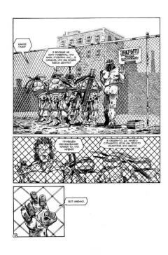 Комикс Рассказы о Черепашках-Ниндзя. издатель Illusion Studios