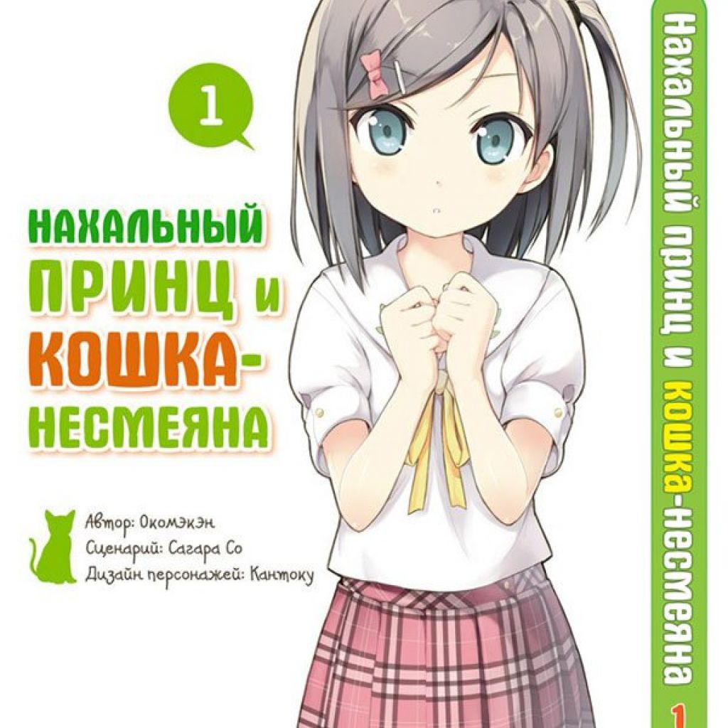 Нахальный принц и кошка-несмеяна. Том 1. Ver.1.1 (Исправленное и  дополненное издание).